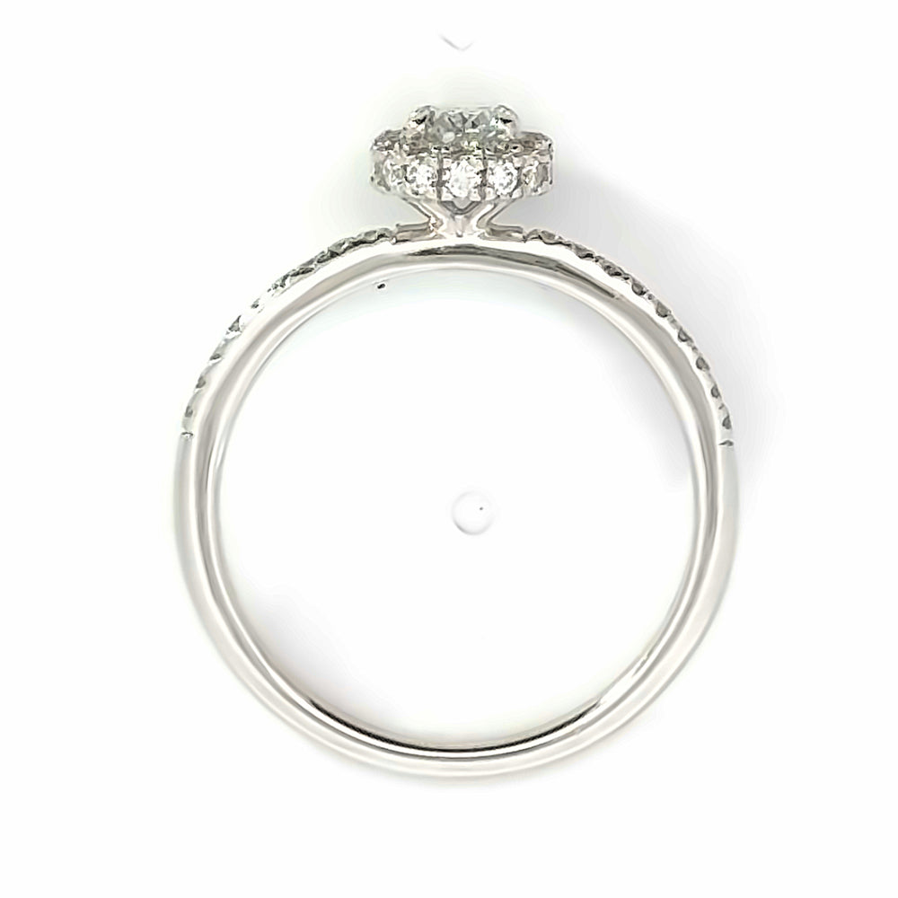 
                      
                        18 karaat witgouden Halo rij ring van 2.76 gram en 2 mm breed. Bezet met 1 ovaal geslepen diamant van 0.31 crt en 24 briljant geslepen diamanten met een totaalgewicht van 0.32 crt Kleur: Top Wesselton Kwaliteit: VS Zetting: 8 x 7 mm Model: R 10047
                      
                    