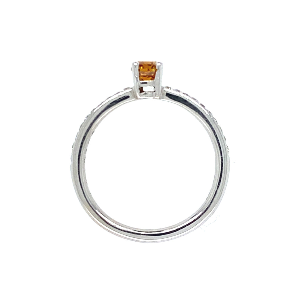 
                      
                        18 karaat wit gouden solitair pavé ring van 2.7 gram en 2 mm breed. Bezet met een fancy cut diamant van 0.44 crt kleur cognac kwaliteit si2 en 20 briljant geslepen diamanten met een totaalgewicht van 0.16 crt kleur top wesselton kwaliteit vs zetting 4.5 x 4 mm Model R 6947
                      
                    