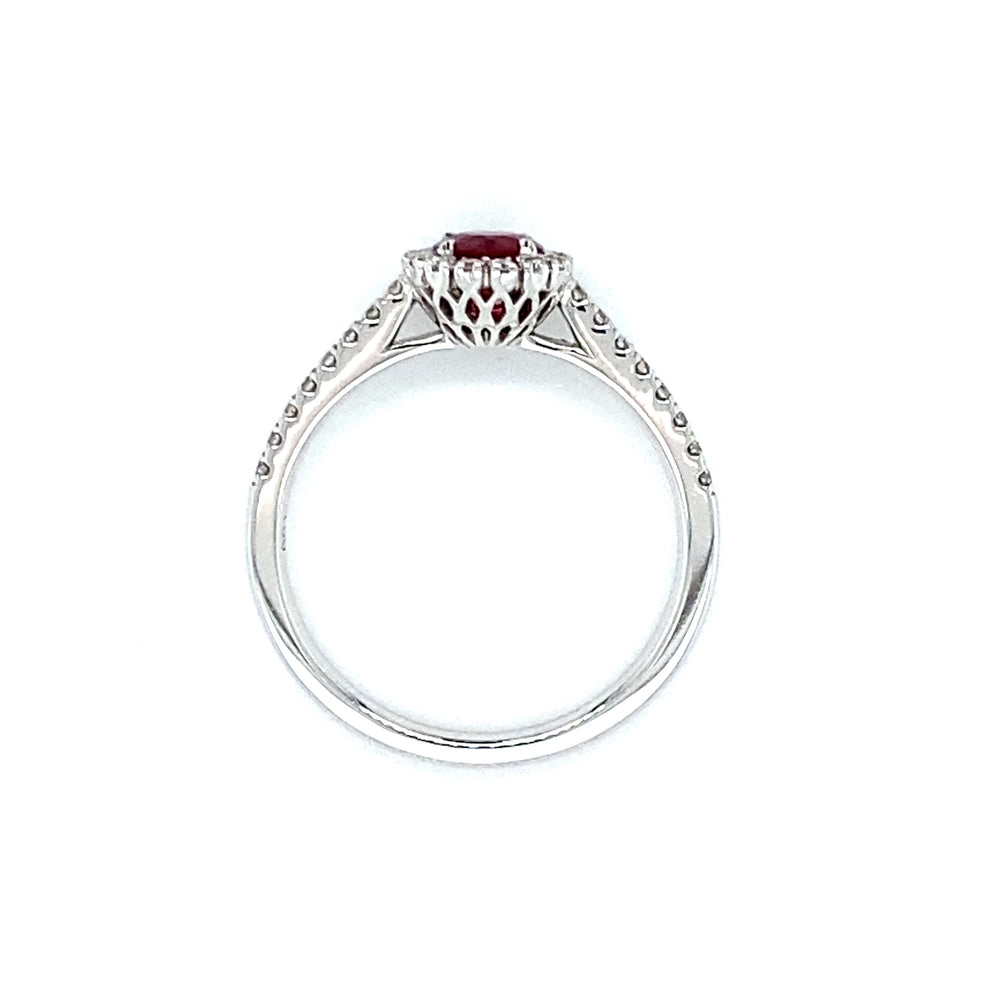 
                      
                        18 karaat witgouden rozet ring, bezet met 1 robijn van 0.51 crt die omringd is door kleinere briljant geslepen diamanten, die ook doorlopen in de ringband. De 32 diamanten hebben een totaalgewicht van 0.27 crt, kleur top wesselton kwaliteit vs model R 8946 
                      
                    