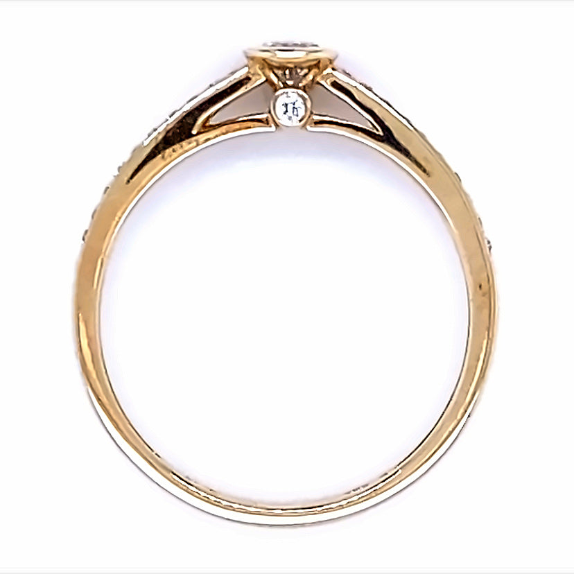 
                      
                        14 karaat geel gouden solitair pavé rij ring van 1.57 gram en 2 mm breed. Bezet met 1 briljant geslepen diamant in het midden van 0.15 crt en 22 briljant geslepen diamanten in de ringscheen met een totaalgewicht van 0.13 crt. Kleur: Top Wesselton Kwaliteit: VS Zetting: 5 mm Model: R 9603
                      
                    